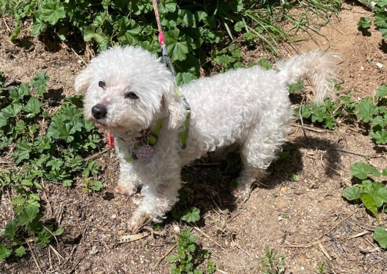 multimedia-foto78243-912-1