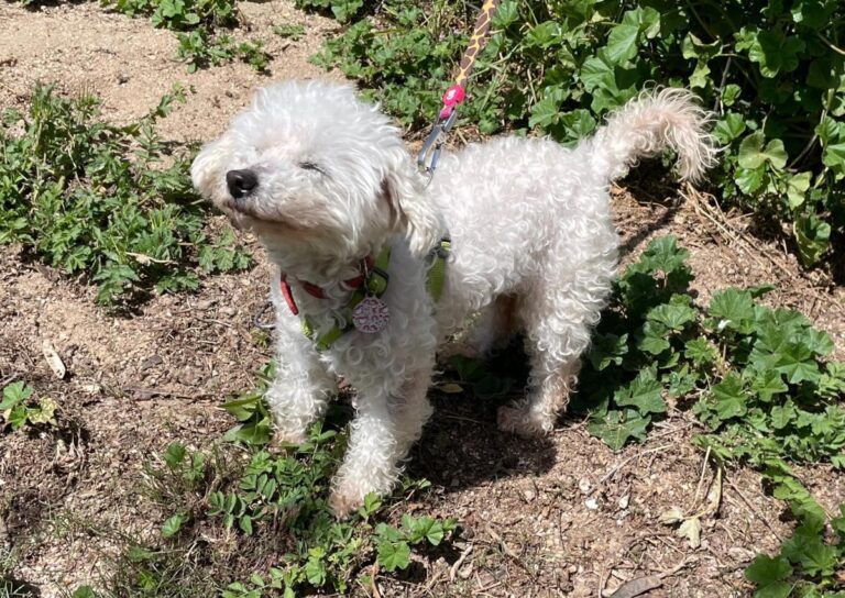 multimedia-foto78244-912-1