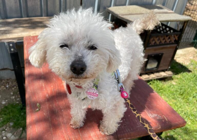 multimedia-foto78248-913-1