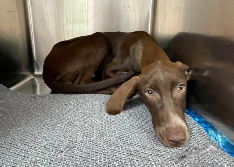 multimedia-foto78253-908-1