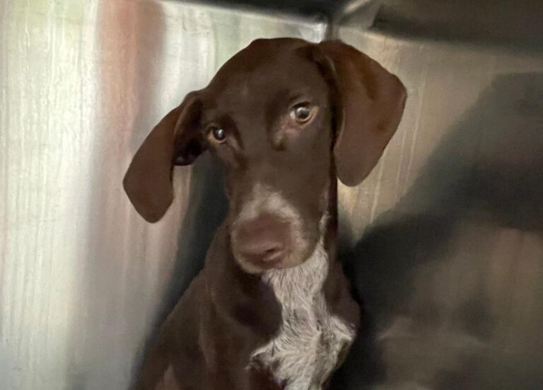 multimedia-foto78255-908-1