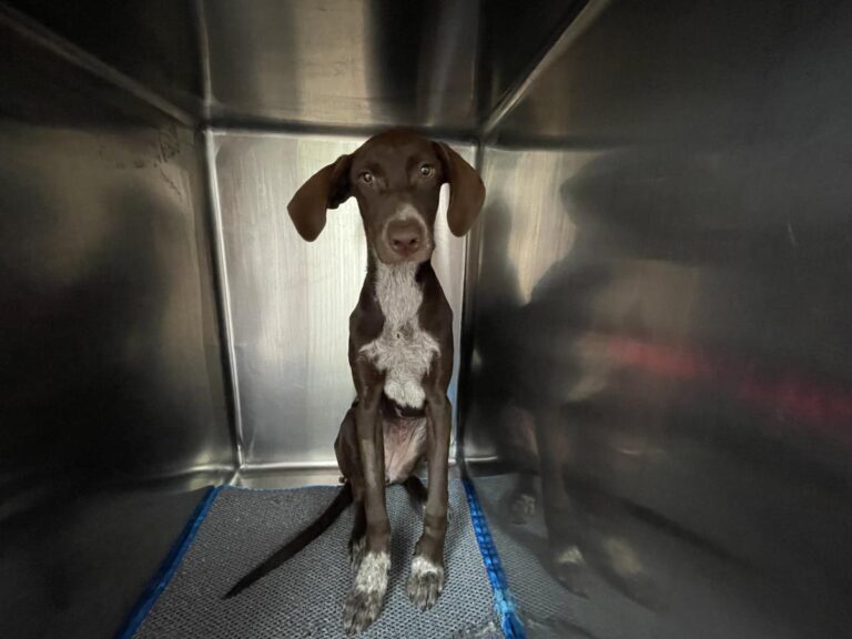 multimedia-foto78256-908-1