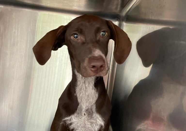 multimedia-foto78257-908-1