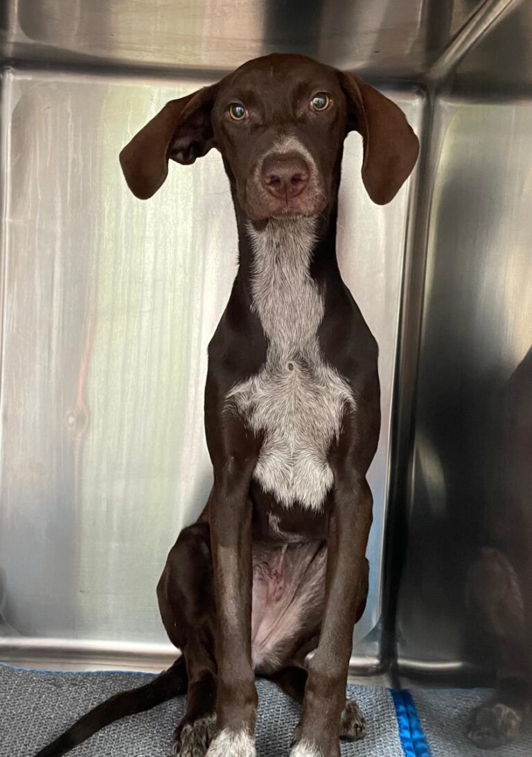 multimedia-foto78258-909-1