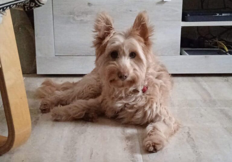 multimedia-foto78269-420-1