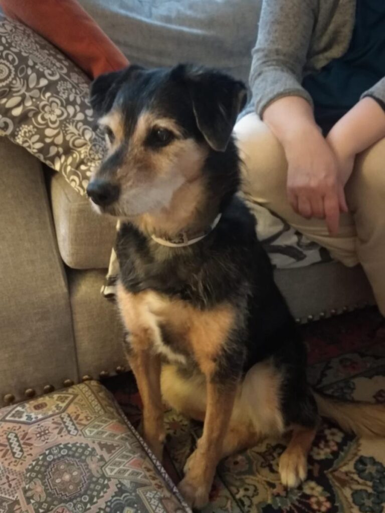 multimedia-foto78270-786-1