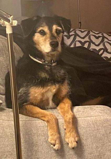 multimedia-foto78271-786-1