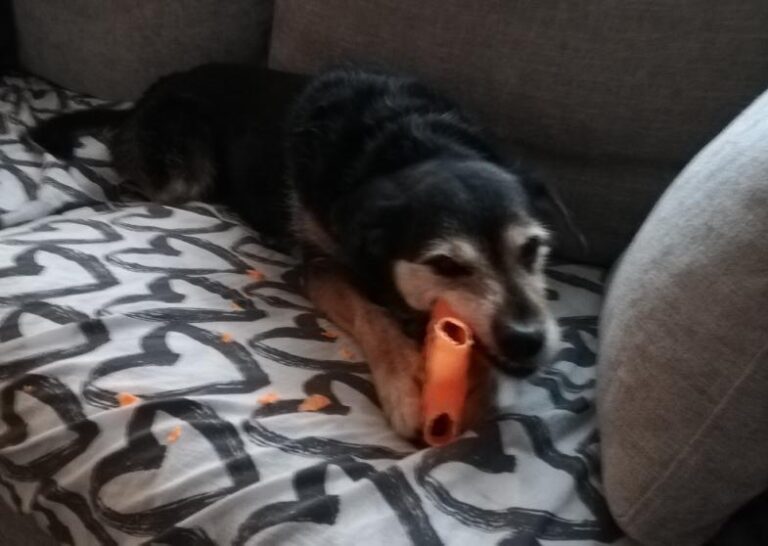 multimedia-foto78272-786-1