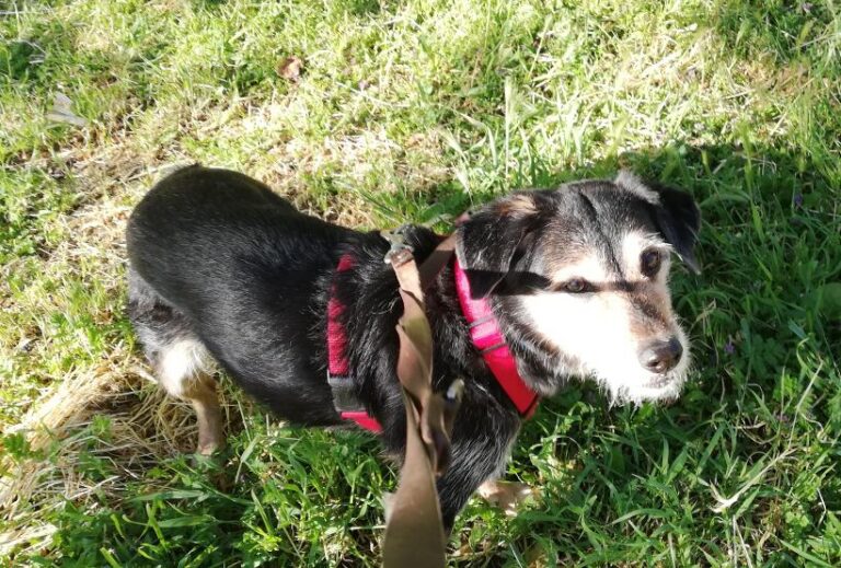 multimedia-foto78273-786-1