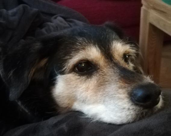 multimedia-foto78274-787-1