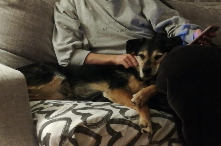 multimedia-foto78275-787-1