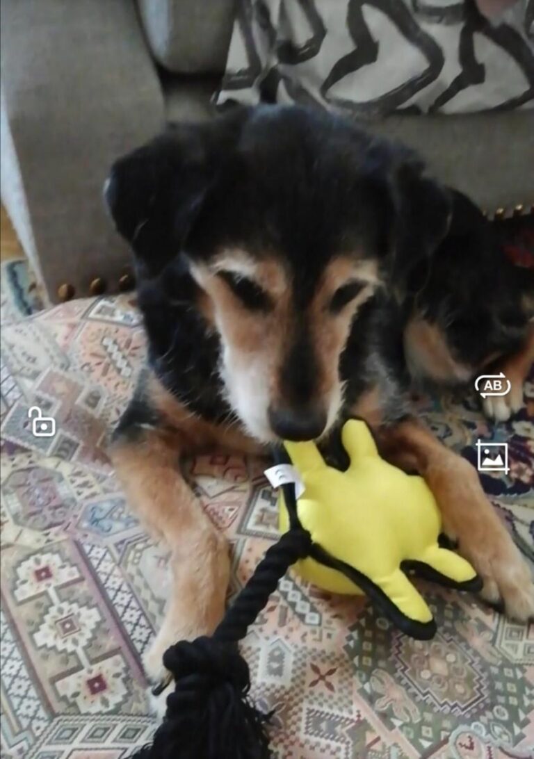 multimedia-foto78276-787-1