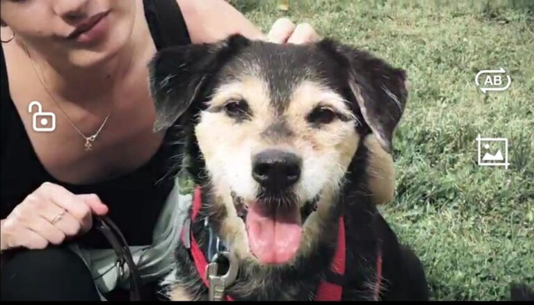 multimedia-foto78277-787-1