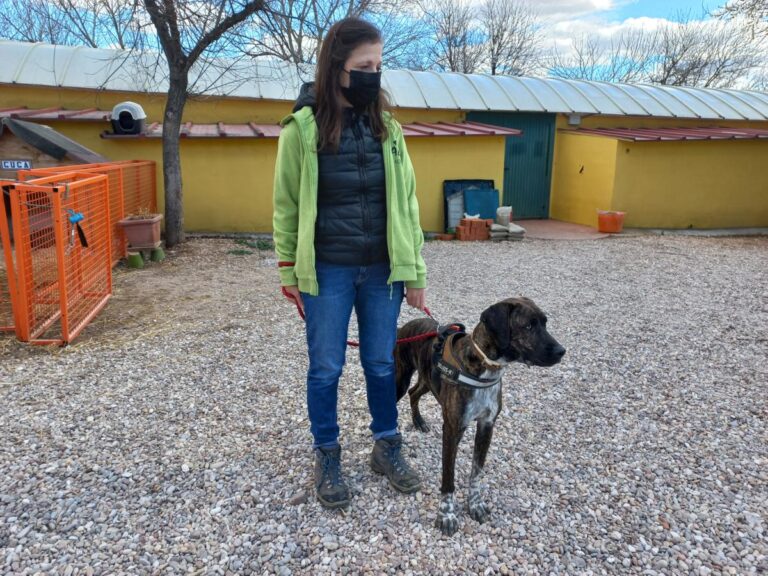 multimedia-foto78278-609-1