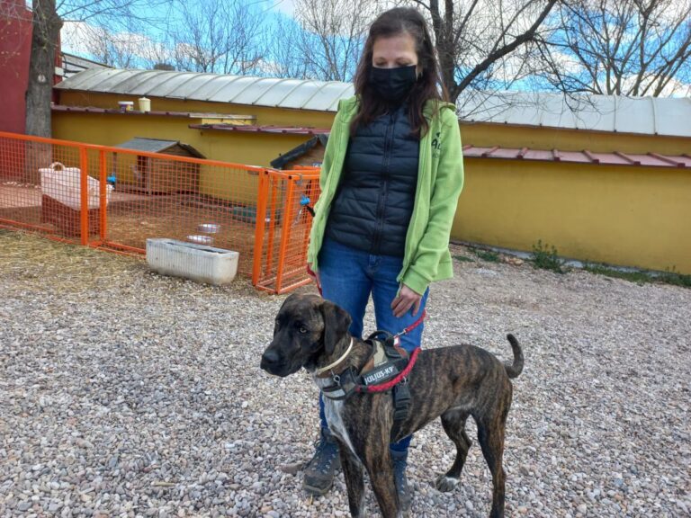 multimedia-foto78279-609-1