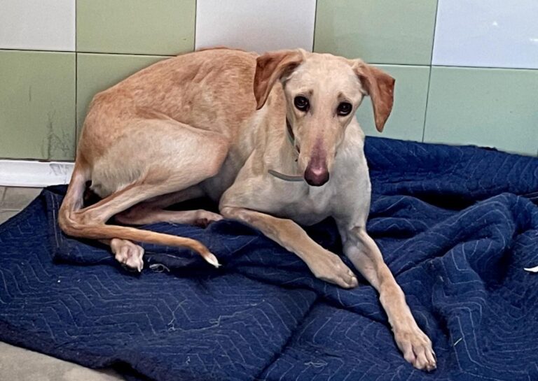 multimedia-foto78287-429-1