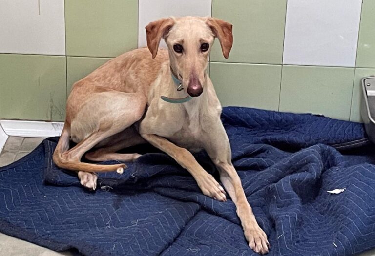 multimedia-foto78288-429-1