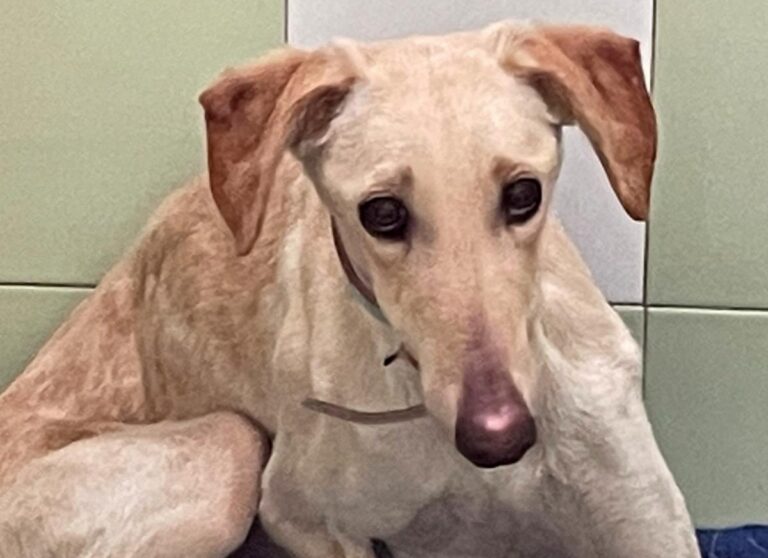 multimedia-foto78289-429-1