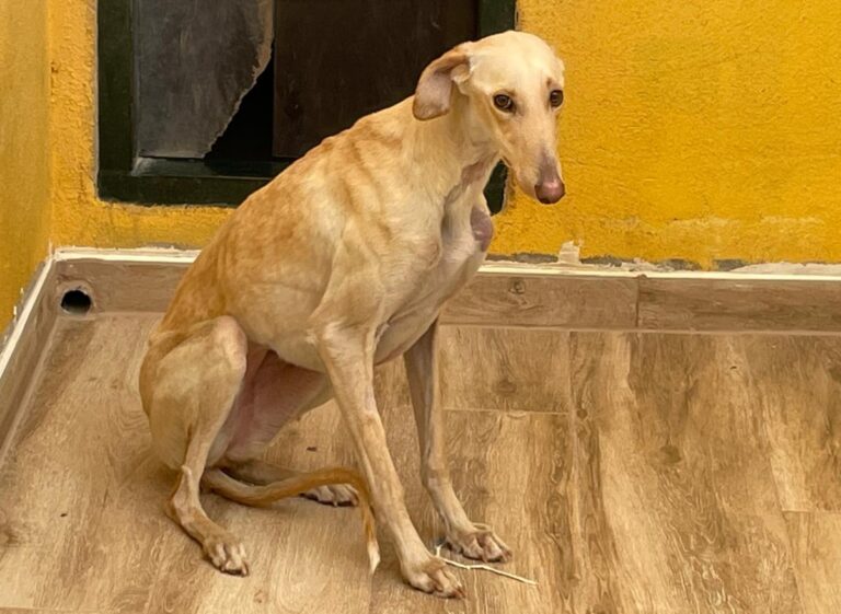 multimedia-foto78290-430-1