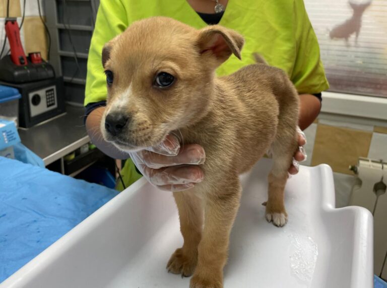 multimedia-foto78300-970-1