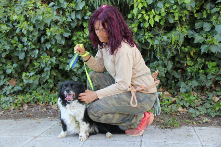 multimedia-foto78338-118-1