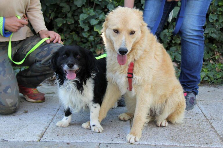 multimedia-foto78339-118-1