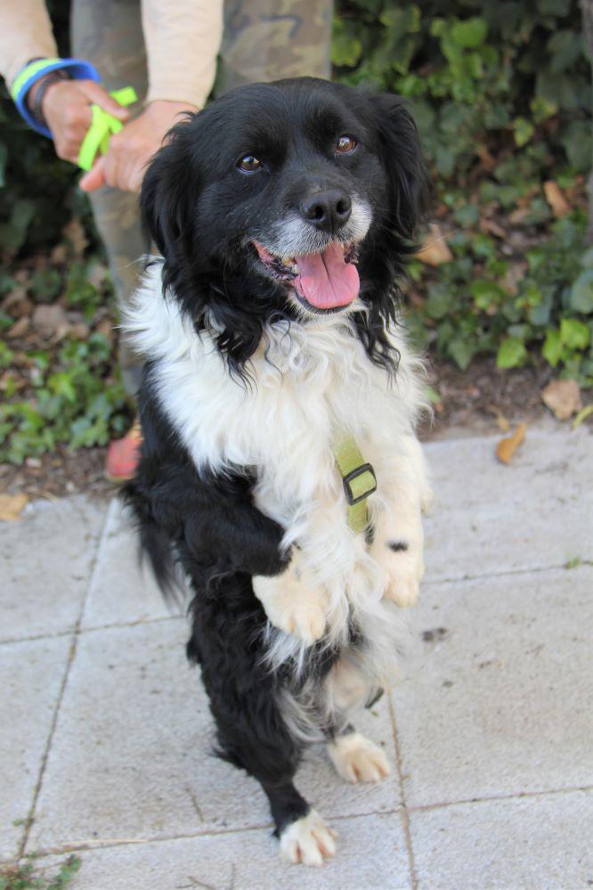 multimedia-foto78340-118-1