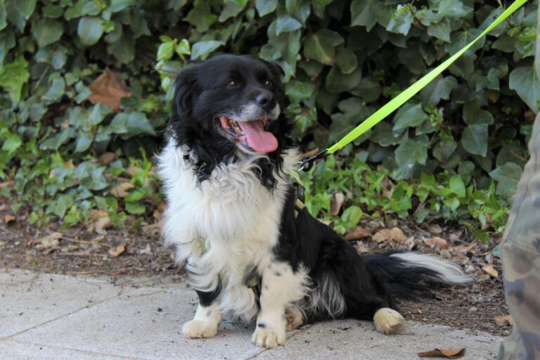 multimedia-foto78341-118-1