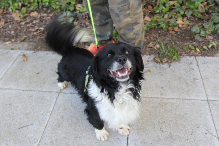 multimedia-foto78344-119-1