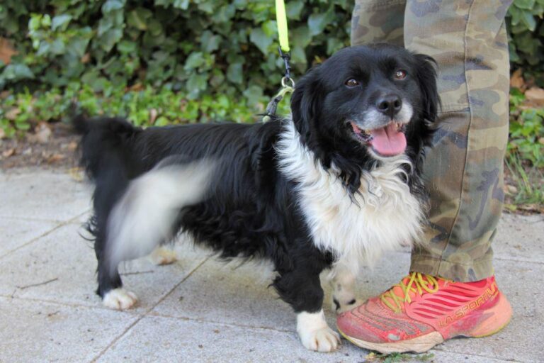 multimedia-foto78345-119-1