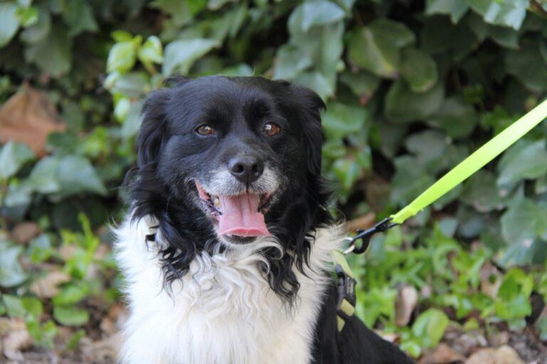 multimedia-foto78346-119-1