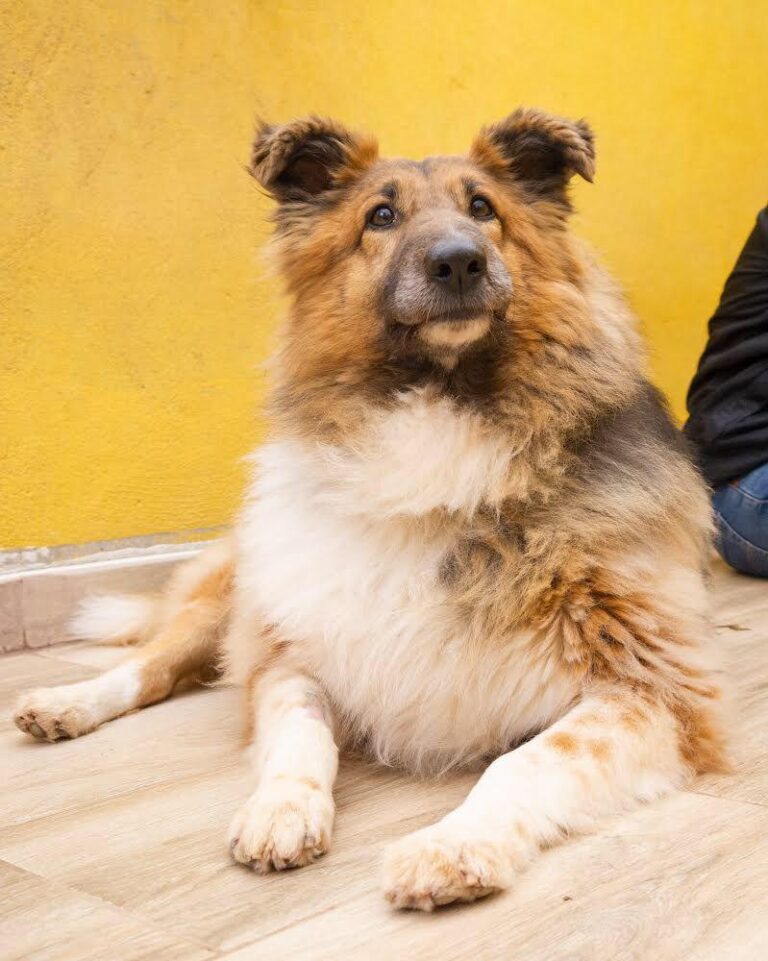 multimedia-foto78348-451-1