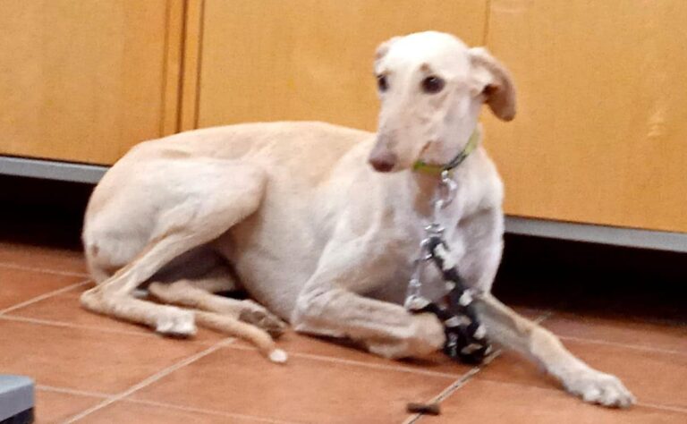 multimedia-foto78352-98-1