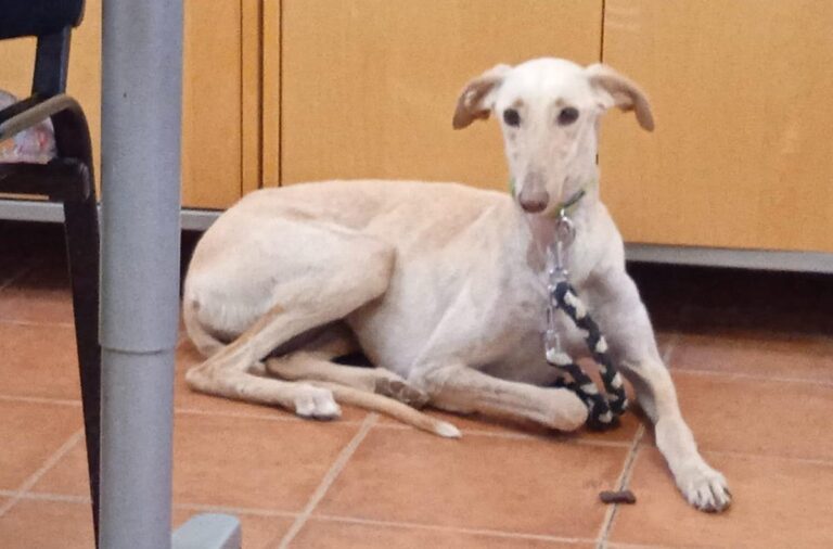 multimedia-foto78353-98-1