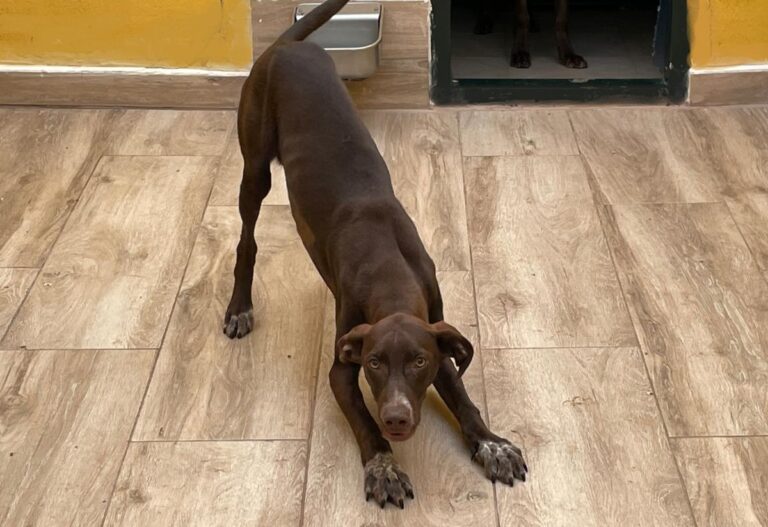 multimedia-foto78355-773-1