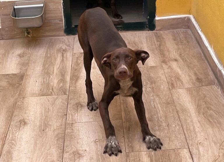 multimedia-foto78356-773-1