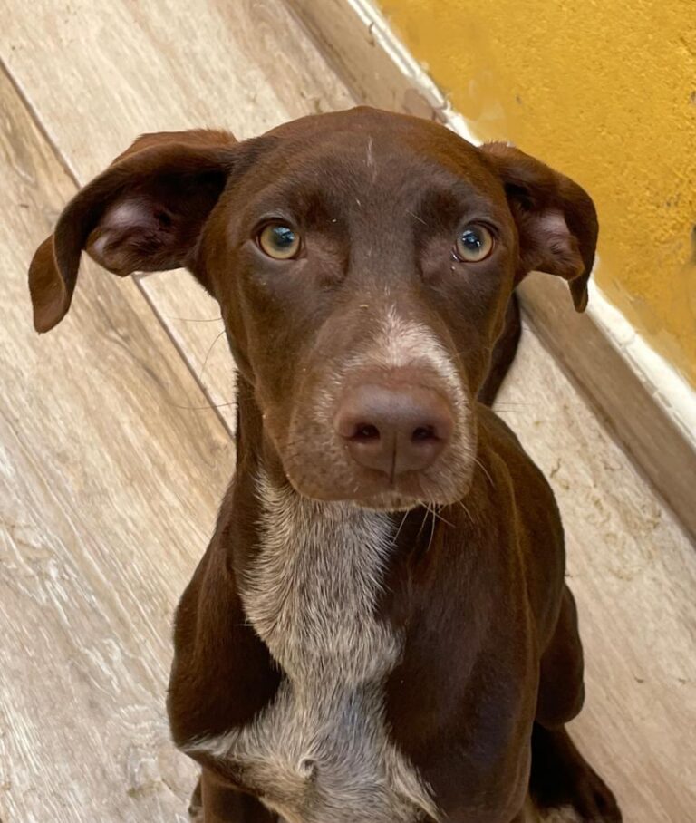 multimedia-foto78357-773-1