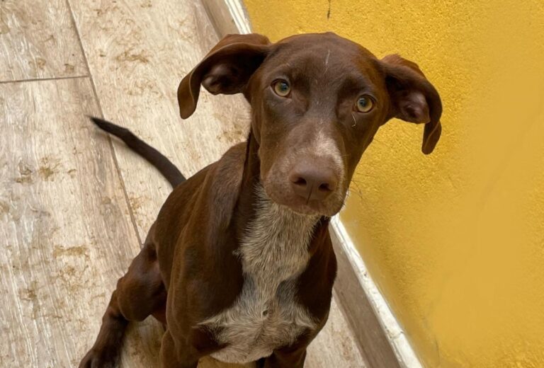 multimedia-foto78359-774-1