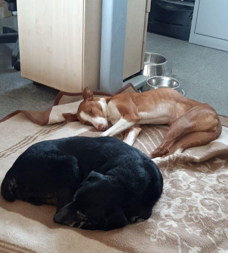 multimedia-foto78383-297-1