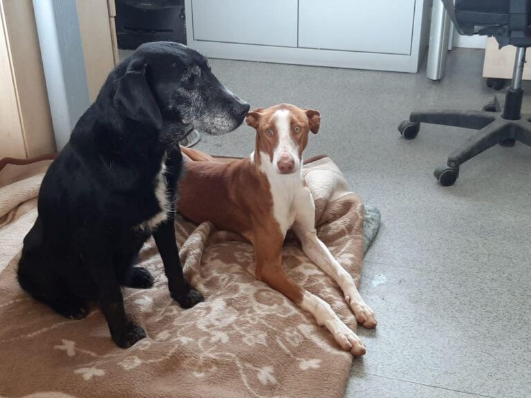 multimedia-foto78384-297-1