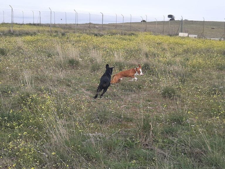 multimedia-foto78385-297-1