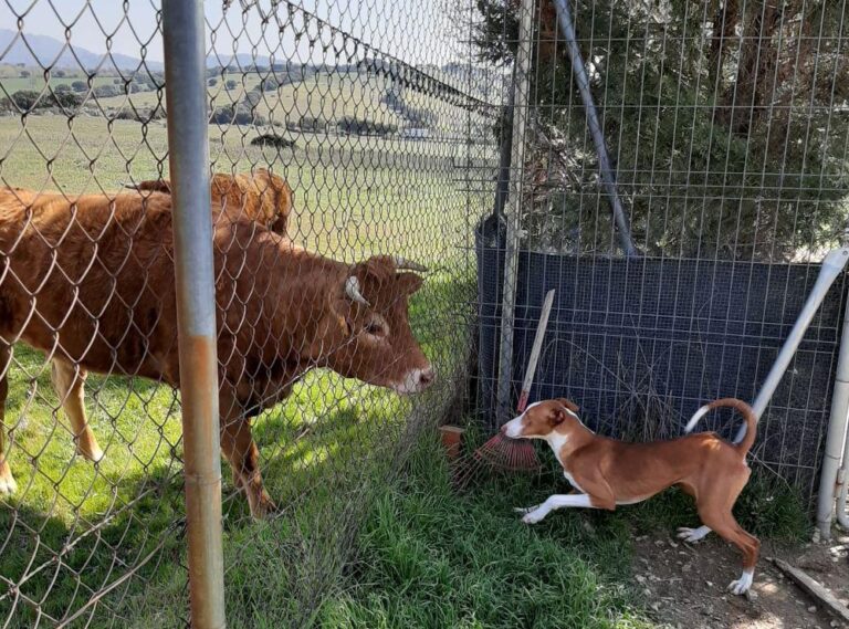 multimedia-foto78386-297-1