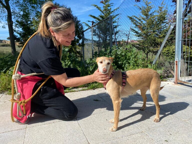 multimedia-foto78394-792-1