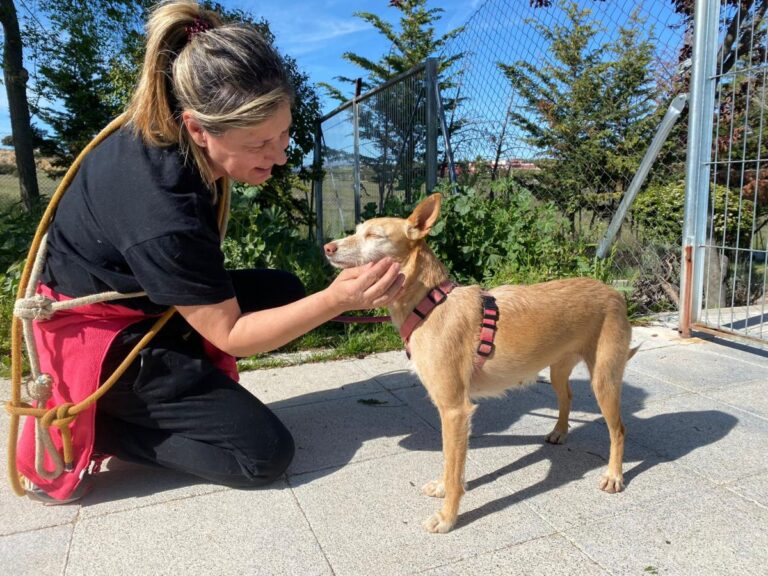 multimedia-foto78395-792-1