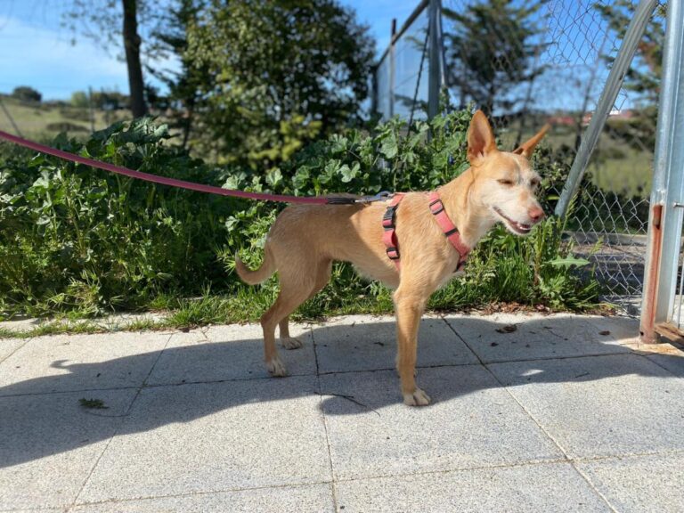 multimedia-foto78396-793-1