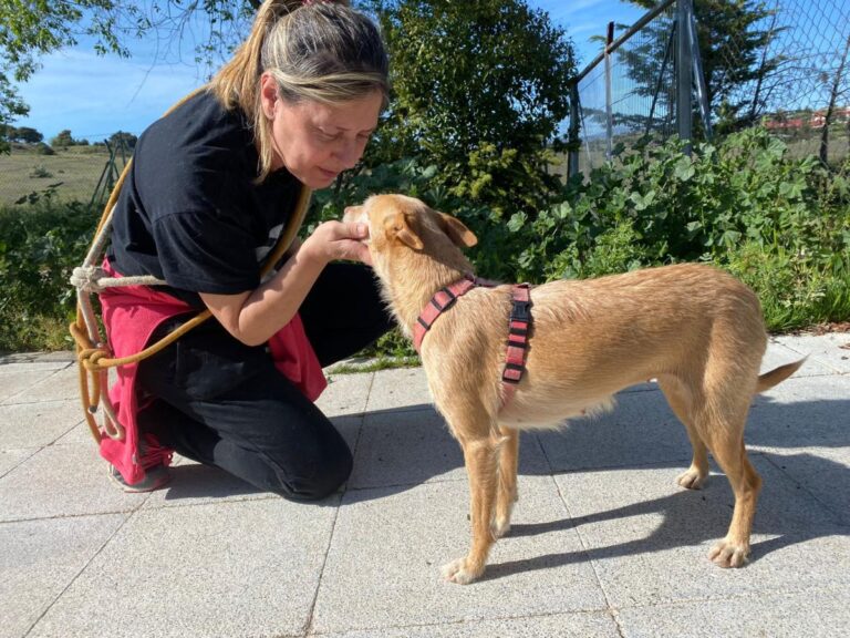 multimedia-foto78397-793-1