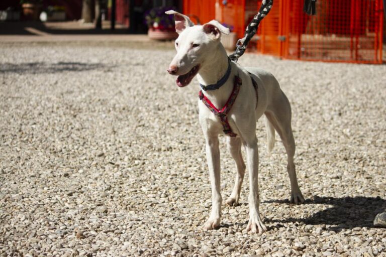 multimedia-foto78403-856-1