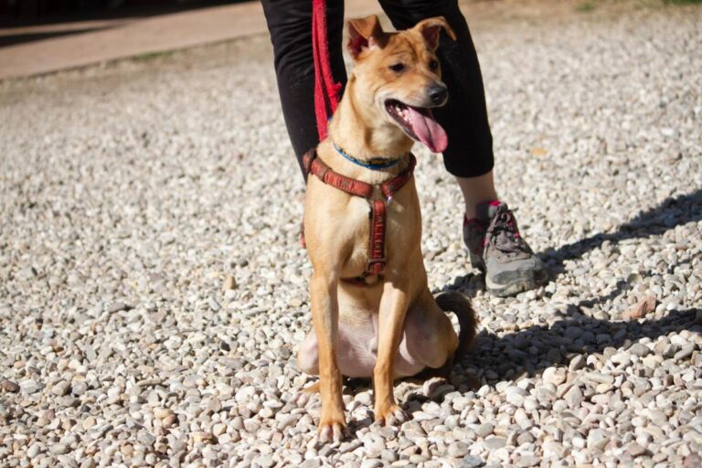 multimedia-foto78406-963-1