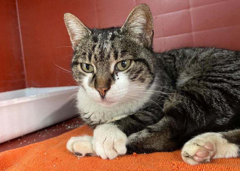 multimedia-foto78506-865-1