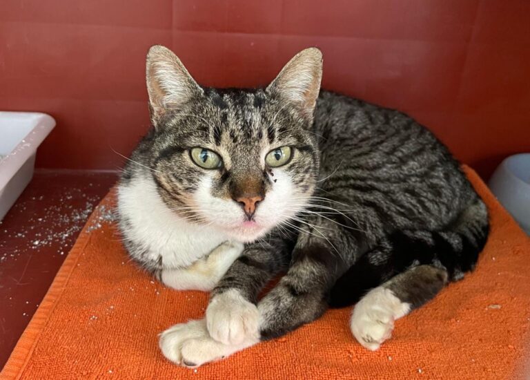 multimedia-foto78507-865-1